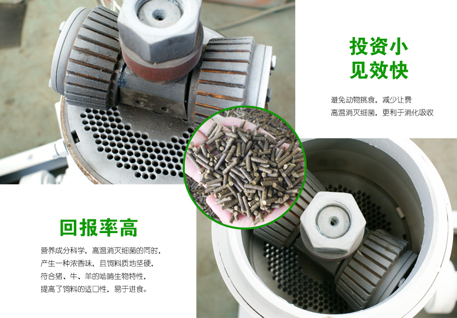 飼料蜜桃AV在线网址壓輥環模圖片