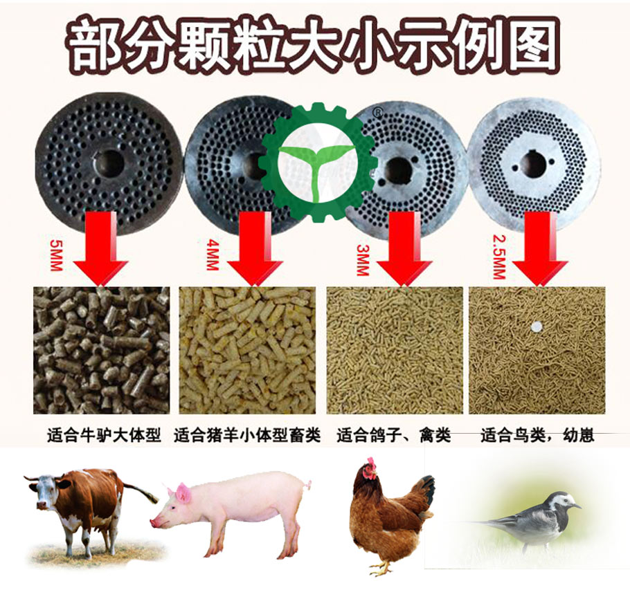 不同顆粒對應的飼養動物