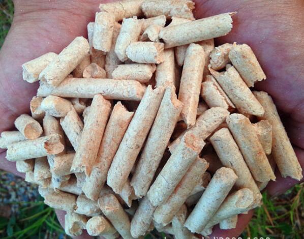 生物質蜜桃AV在线网址械設備 生物質蜜桃AV在线网址械設備