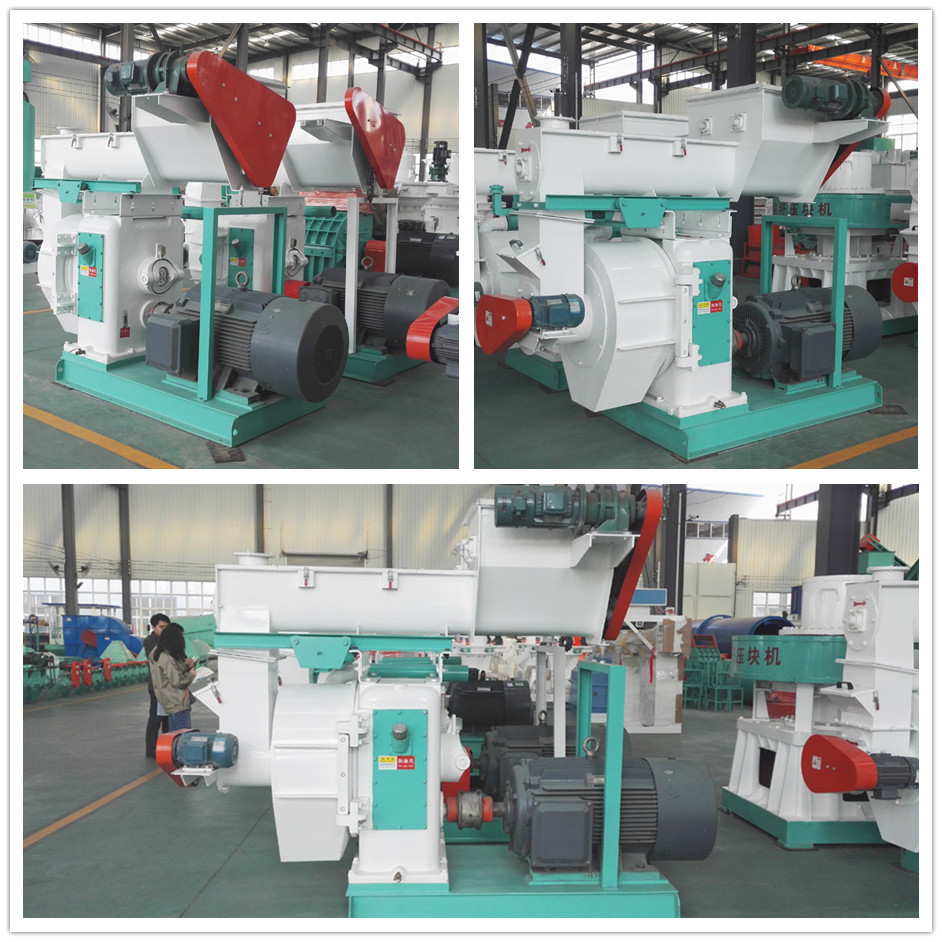 臥式環模飼料蜜桃AV在线网址產品展示圖