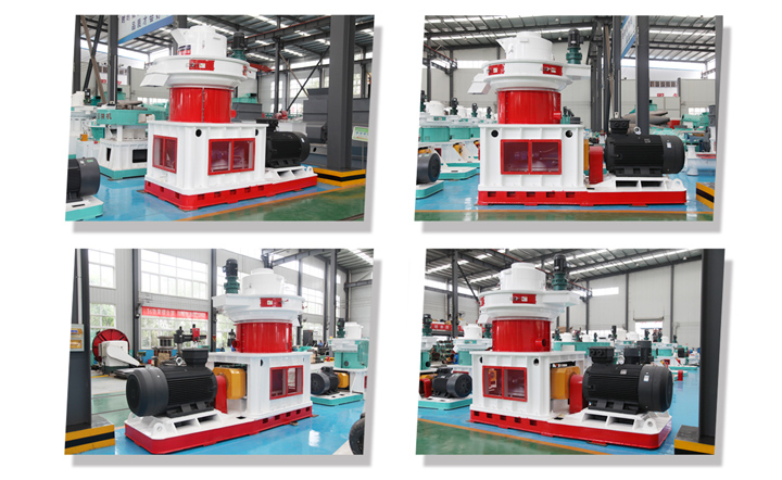 木屑蜜桃AV在线网址