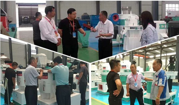 奔赴山東蜜桃性爱视频，隻為實現自己的創業夢想