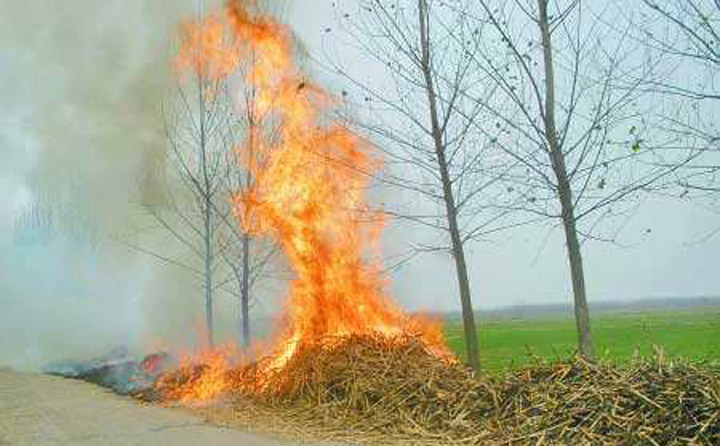 生物質蜜桃AV在线网址械