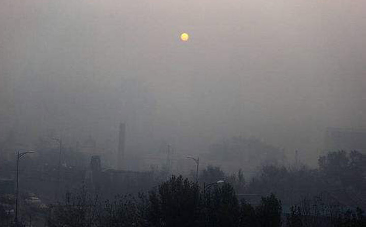 霧霾漫天 生物質蜜桃AV在线网址械