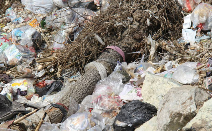 生物質蜜桃AV在线网址械