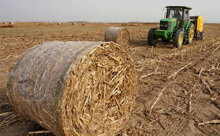 每年產生大量秸稈 生物質蜜桃AV在线网址械