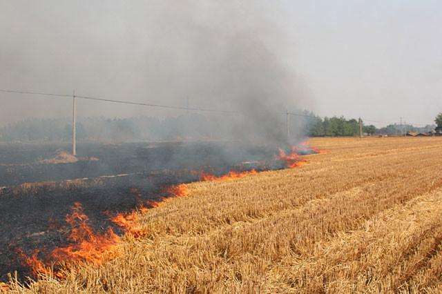 生物質蜜桃AV在线网址械