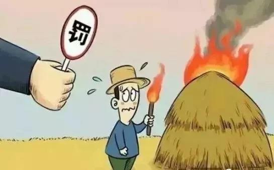 生物質蜜桃AV在线网址械