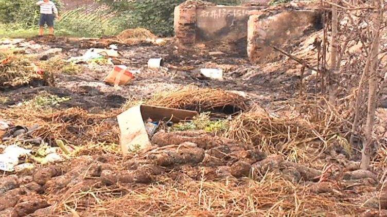 生物質蜜桃AV在线网址械