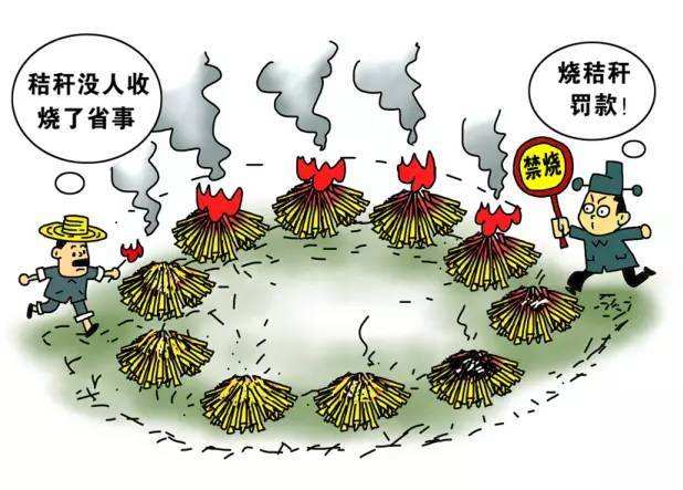 生物質蜜桃AV在线网址械