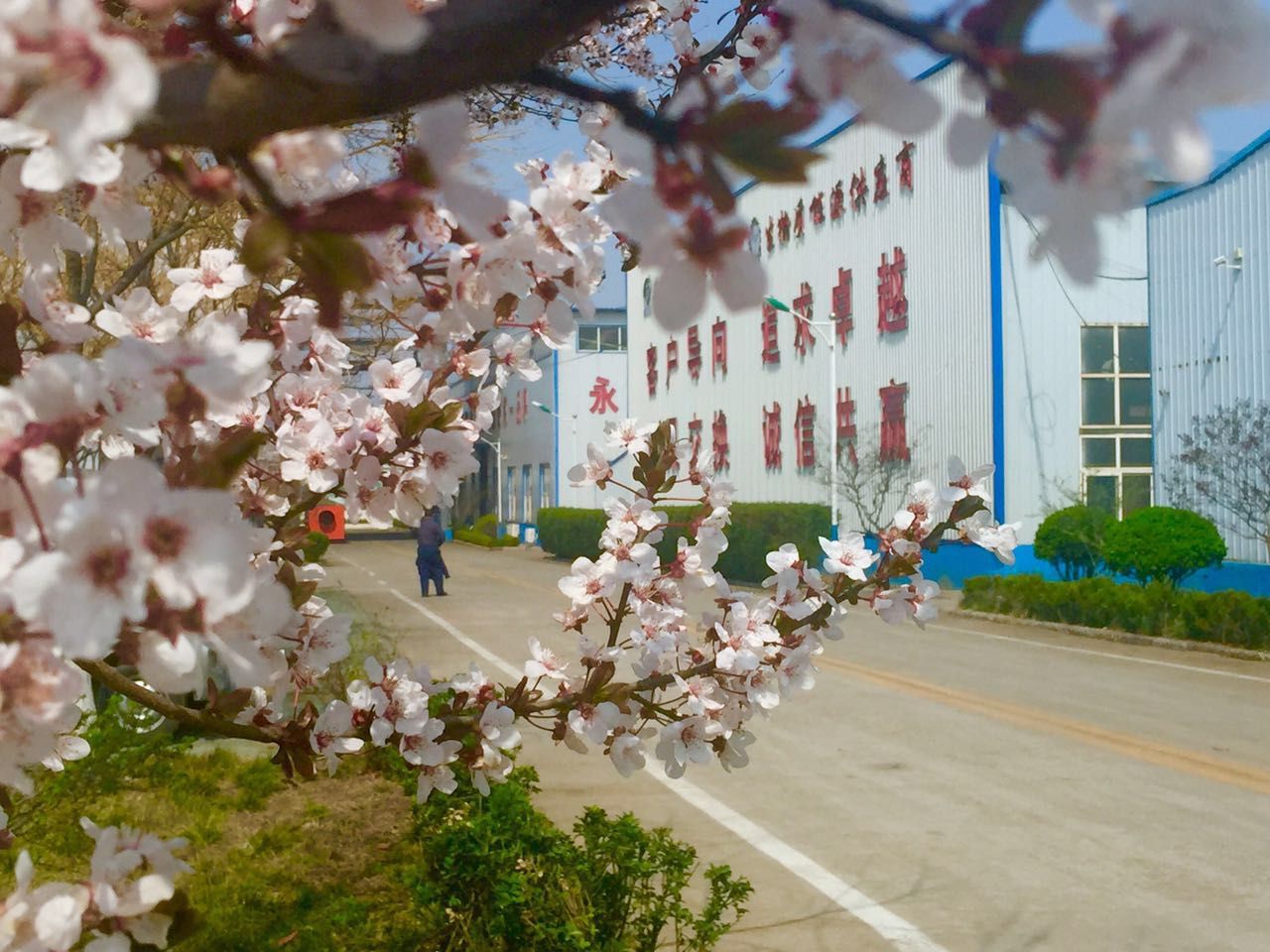 生物質蜜桃AV在线网址械