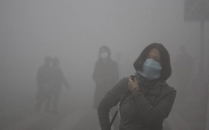 生物質蜜桃AV在线网址械