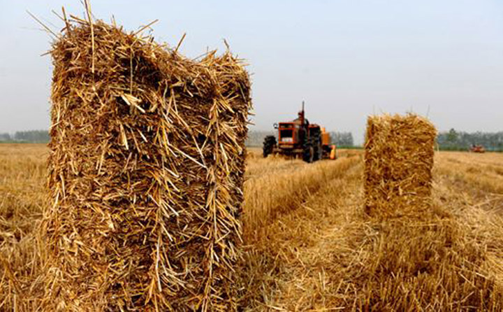 生物質蜜桃AV在线网址械