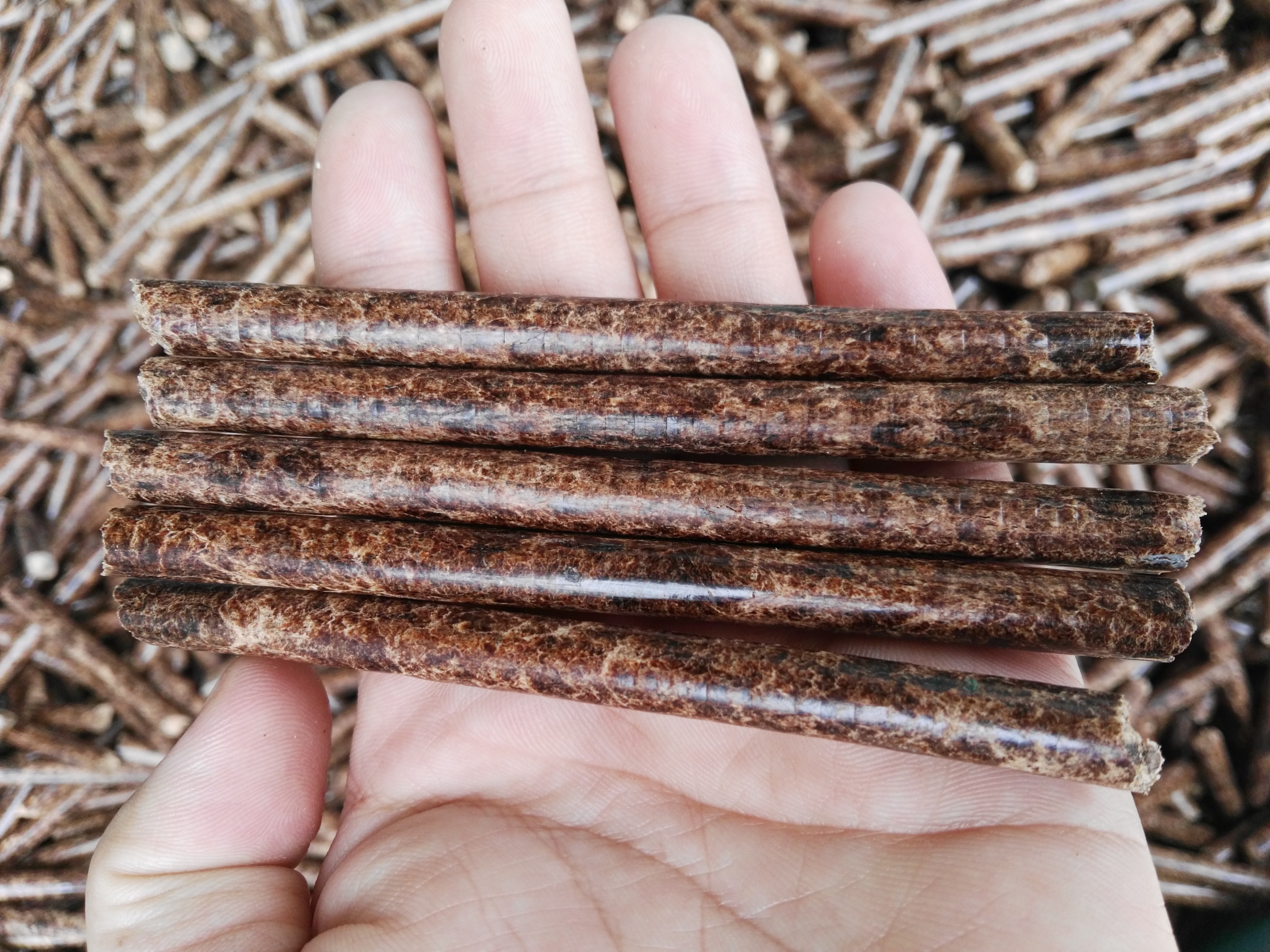 生物質蜜桃AV在线网址械