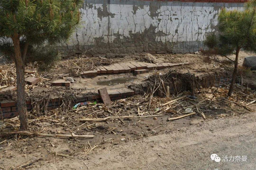 生物質蜜桃AV在线网址械