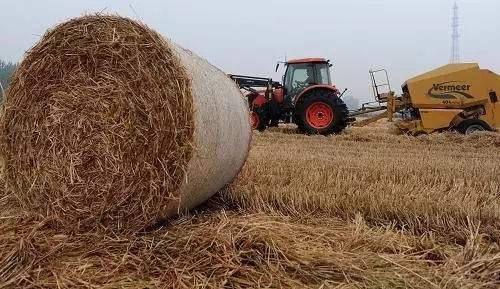 生物質資源豐富 生物質蜜桃AV在线网址械
