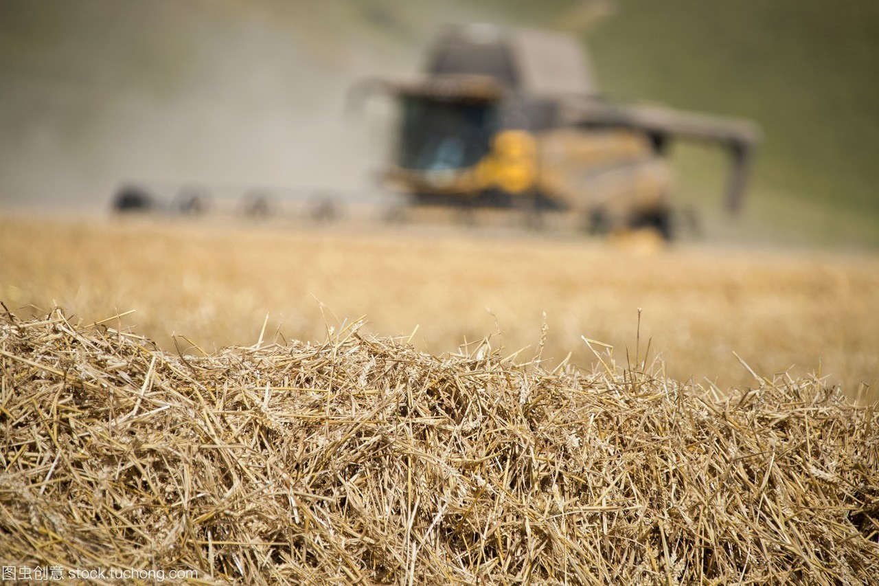 生物質蜜桃AV在线网址械
