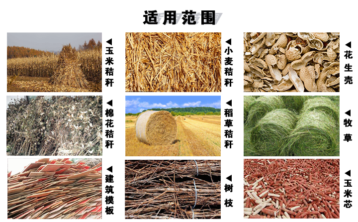 生物質蜜桃AV在线网址械