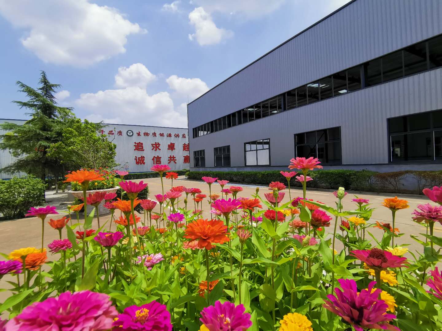 山東蜜桃性爱视频蜜桃AV在线网址廠家