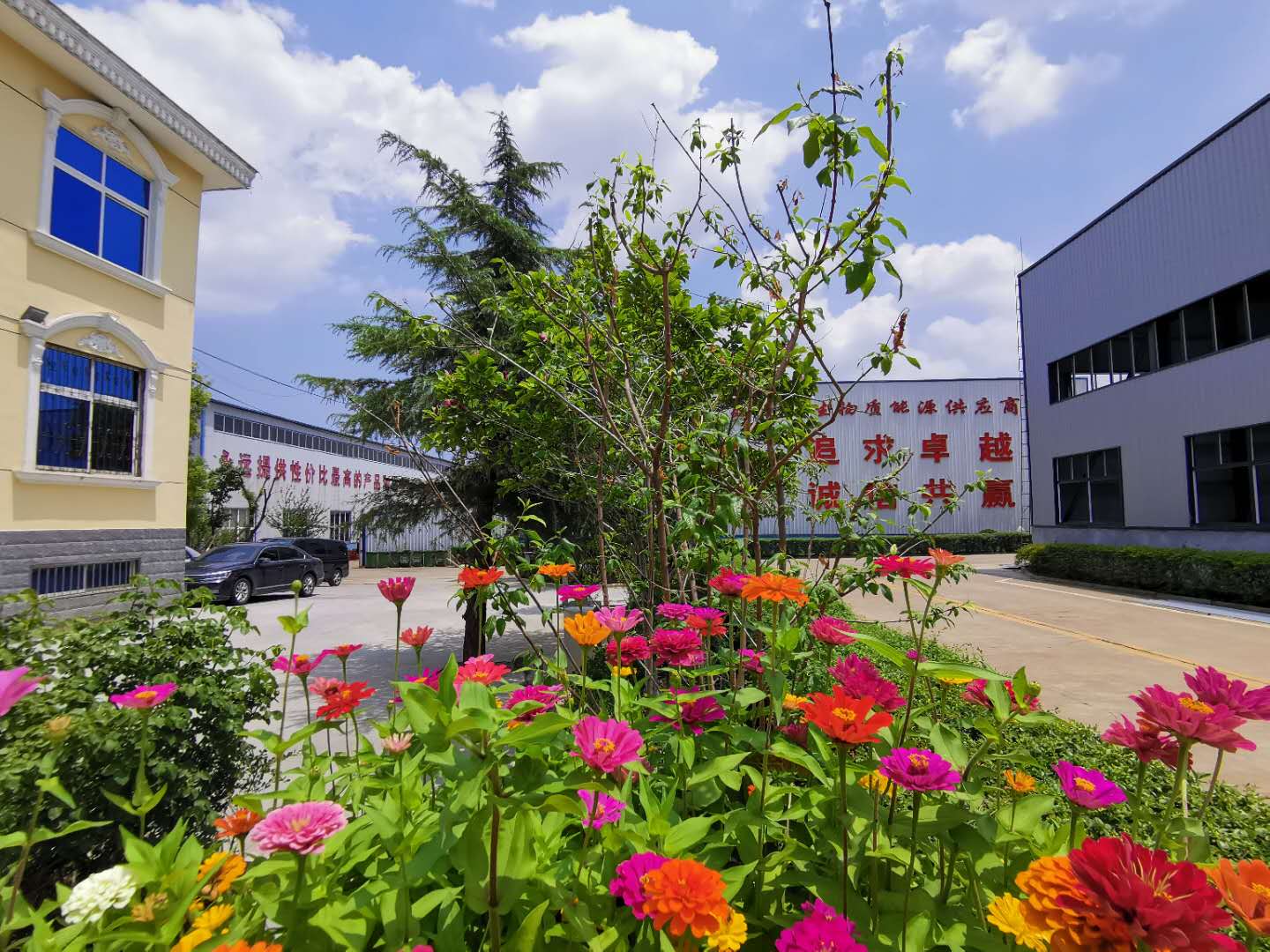 山東木屑蜜桃AV在线网址廠家