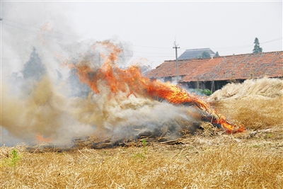 生物質蜜桃AV在线网址械