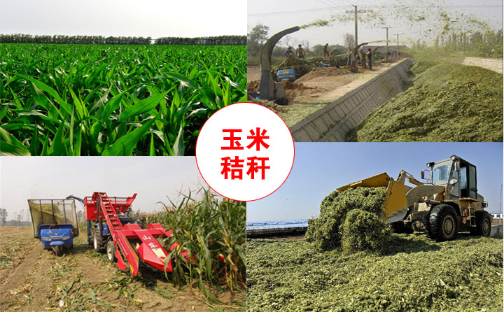 生物質蜜桃AV在线网址械