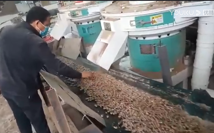 山西張總檢查蜜桃AV在线网址製粒情況