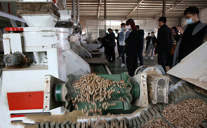 生物質燃料蜜桃AV在线网址顆粒燃料的加工車間