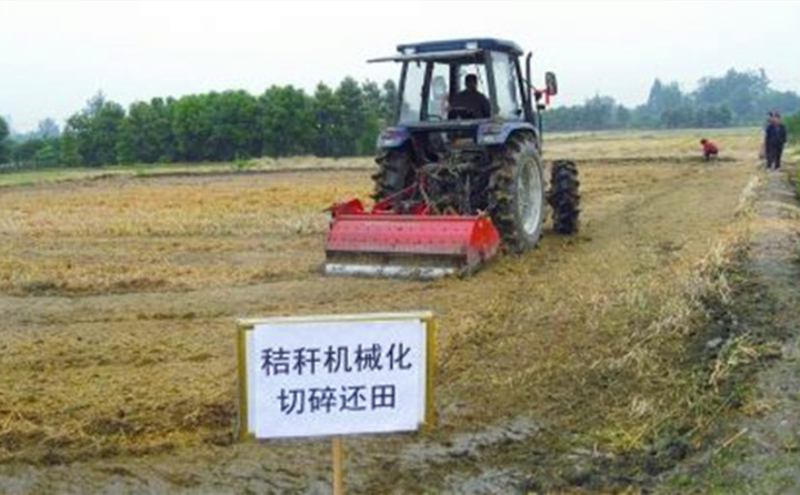 秸稈還田讓“地越種越肥、產值越來越高”