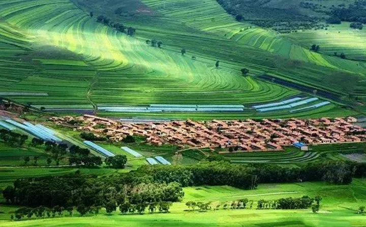 近日，甘穀縣農業農村項目建設服務中心全體幹部來到大石鎮李灣村開展我為群眾辦實事活動