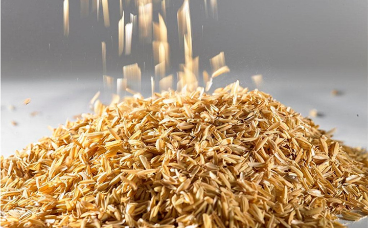 我，是廣東生物質燃料公司料場裏的一個普通稻殼