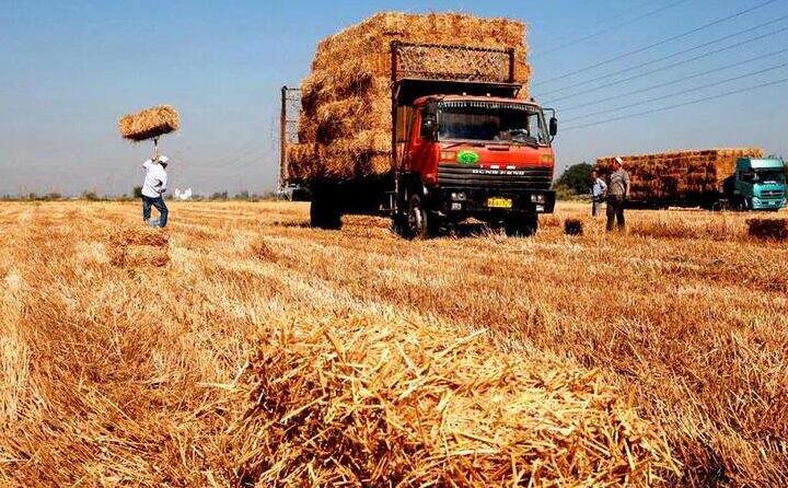 一台台秸稈打捆機正在田地裏作業，一大片散落在地裏的葵花、玉米秸稈被打包成一個個方塊
