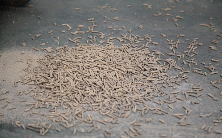 蜜桃性爱视频公司顆粒燃料的原材料是蘆葦、麥草、葵花稈、模板、玉米稈、玉米芯、樹枝、枝丫柴、樹皮、樹根等農林廢棄物，是用生物質燃料蜜桃AV在线网址物理擠壓成型的