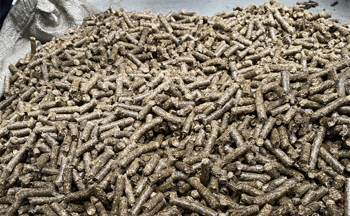 生物質燃料蜜桃AV在线网址顆粒項目