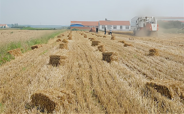 生物質作為一種含碳、固體形態的可再生能源，其熱轉化利用技術、設備與煤炭具有相似性，且生物質氮、硫含量低，汙染物排放要遠低於燃煤。因此，大力發展生物質燃料鍋爐將有助於緩解燃煤帶來的環境汙染問題