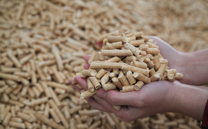 木材邊角料和秸稈可別扔了，用生物質蜜桃AV在线网址加工，可以變成顆粒燃料，可以賣也可以自己用