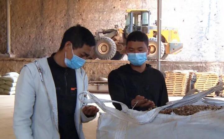 為有效禁止露天焚燒秸稈和有效提高農作物秸稈綜合利用，雙龍營鎮多措並舉，積極引導群眾秸稈還田、秸稈飼料化、生物質蜜桃AV在线网址秸稈燃料化利用，從源頭治理露天焚燒秸稈現象。