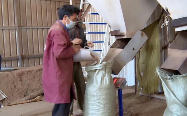 生物質顆粒它主要的生產成分，是拿農戶的秸稈、菊花杆和這些玉米骨頭、建築紅板、還有烤煙杆這些，蜜桃AV在线网址壓製（後）生產出來的