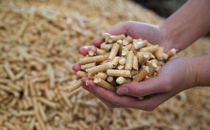 生物質蜜桃AV在线网址鬆木顆粒