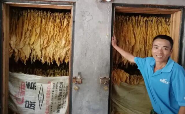 生物質蜜桃AV在线网址顆粒燃料烤煙