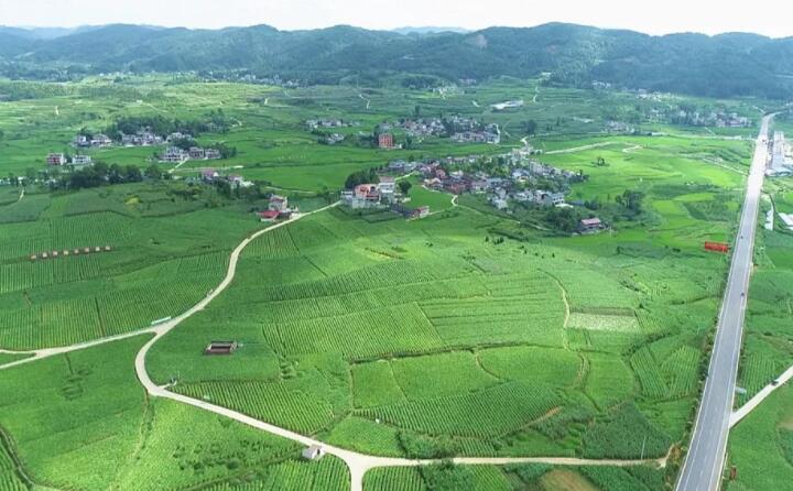 福泉：生物質顆粒智能化烘烤 助力烤煙產業提質增效