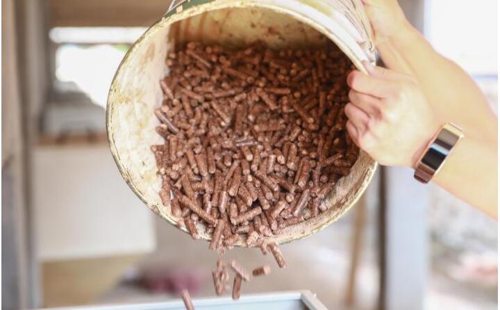 生物質蜜桃AV在线网址的燃料