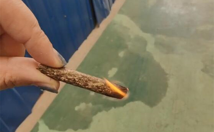 生物燃料 生物燃料