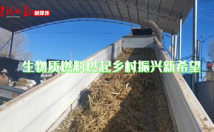 青海海東樂都：生物質顆粒燃料燃起鄉村振興新希望