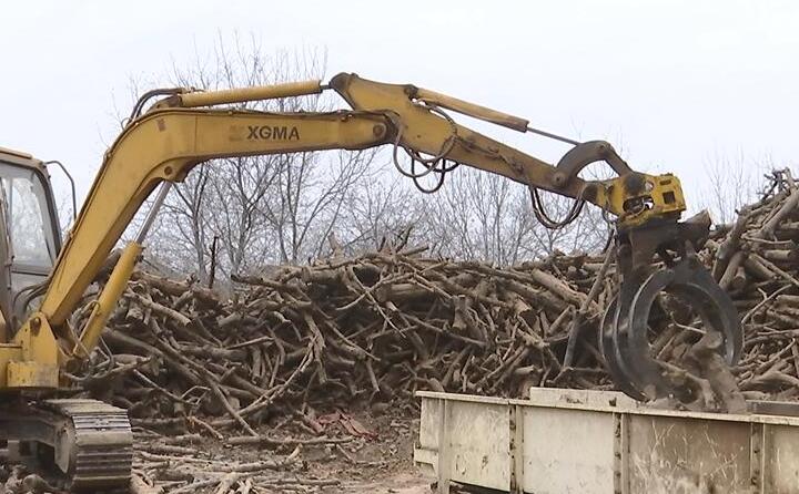 抓木機正在將一根根木料放入傳送帶，伴隨著轟隆隆的機械聲，木料被削片、粉碎、烘幹、蜜桃AV在线网址製粒、冷卻，直到變成千家萬戶暖爐裏的新能源材料——生物質顆粒。