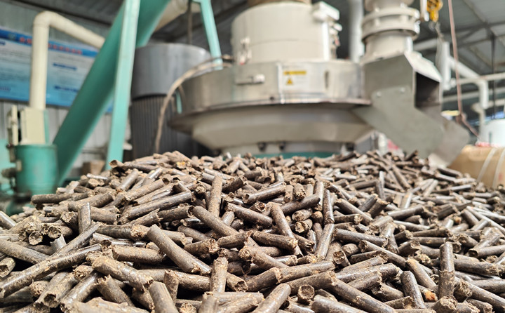 生物質蜜桃AV在线网址加工的秸稈顆粒燃料