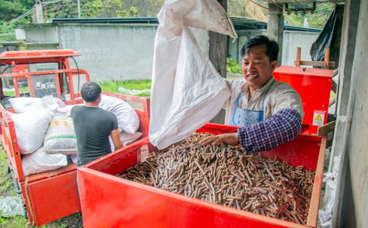 生物質蜜桃AV在线网址加工的生物質顆粒燃料