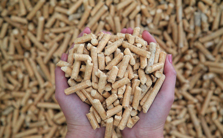 生物質蜜桃AV在线网址加工的生物質成型燃料