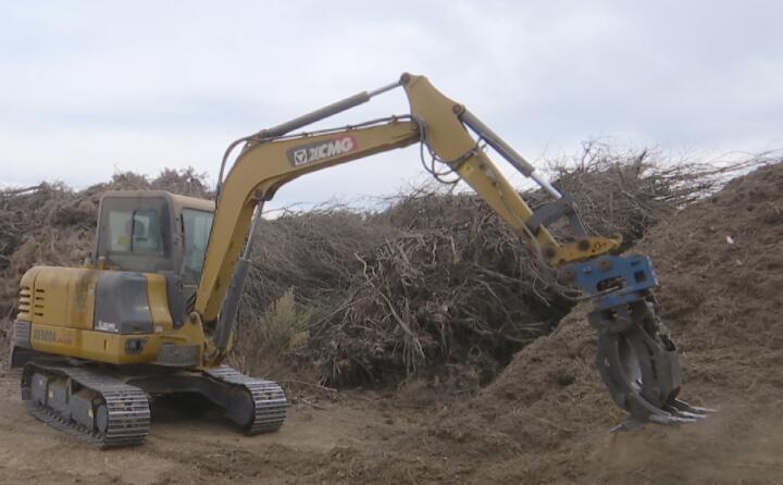 甘肅榆林子鎮：農業“垃圾”再利用農林廢料變廢為寶