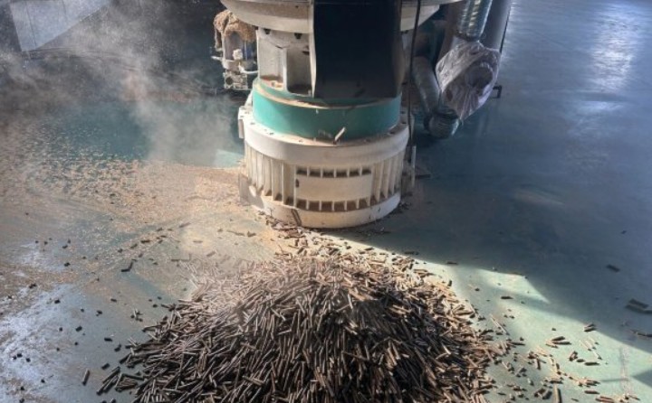 黑龍江鶴立林業局：生物質顆粒產業點燃綠色發展新引擎